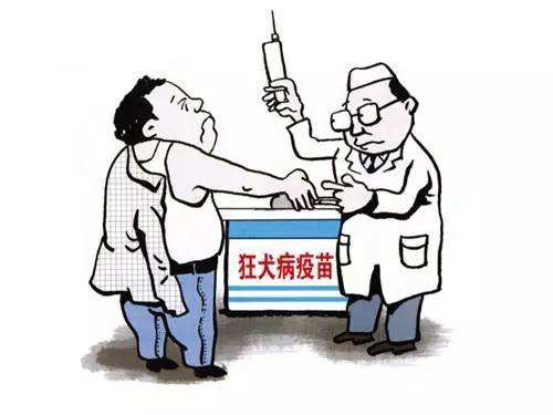 被狗狗咬红了没怎么破皮要打针吗,狗狗每年都需要打狂犬疫苗吗