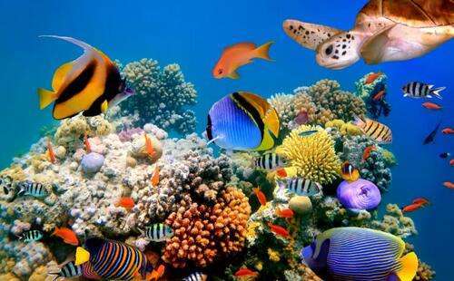 大堡礁还值得去吗,大堡礁三日游行程