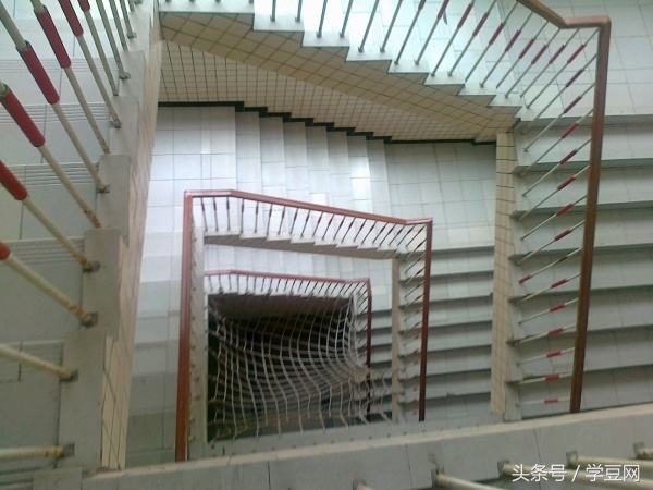 学豆观察︱在深圳高级中学读书是怎样的体验？