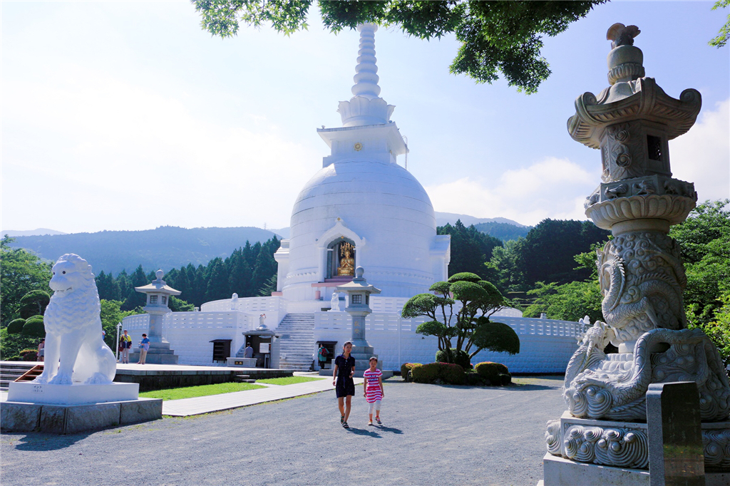 丽星邮轮8天7晚自由行攻略,丽星邮轮双子星号日本攻略