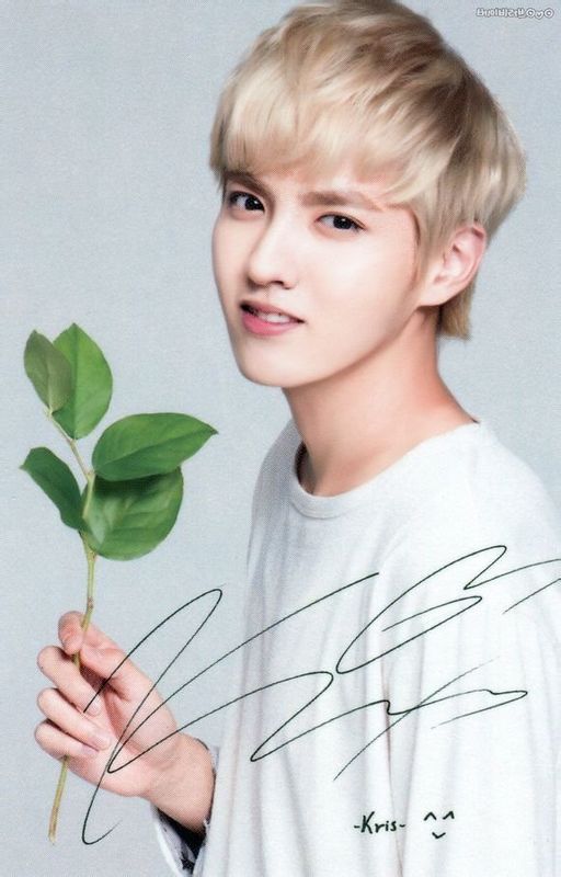 exo十二人嗨翻全场,exo十二人背后数字