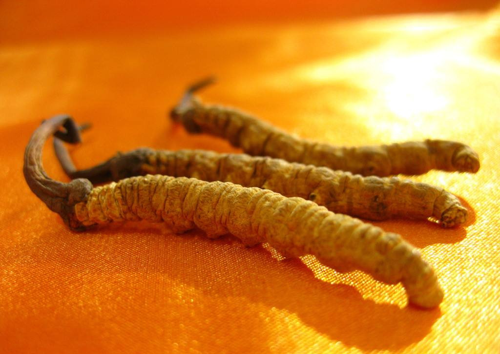 中国所有省市的特产图片,中国34个行政区的特产