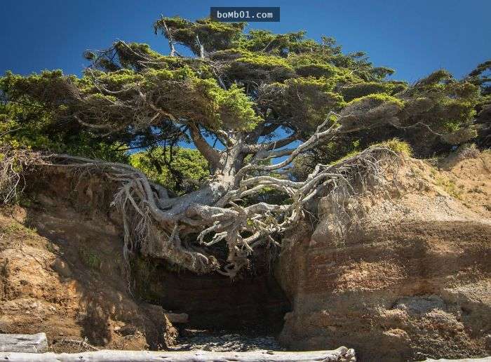 大自然神奇的自然现象,大自然中有哪些神奇的现象