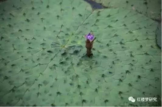 中国奇怪的名字,一些奇怪的名字