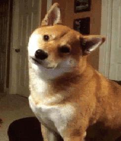 有些爱情就像陷入了死循环,爱情就是死循环