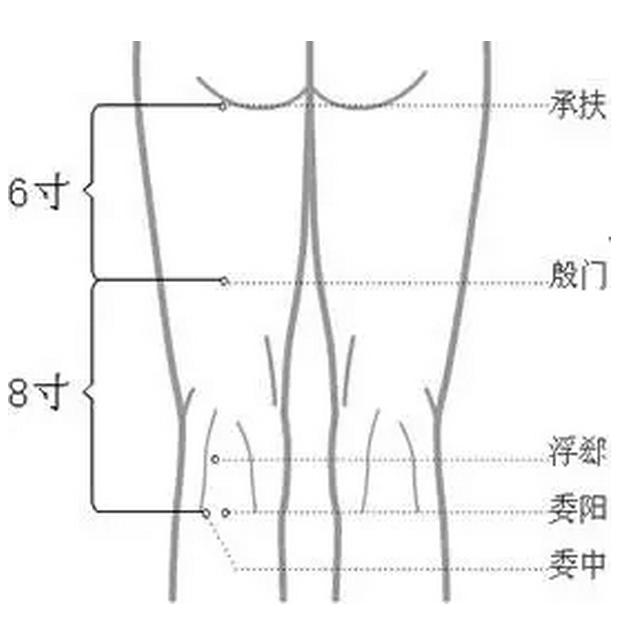 朗朗上口的穴位歌,常用穴位歌