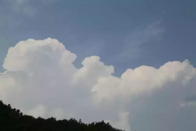 山西历山舜王坪大草原攻略,看云海高山草甸的地方