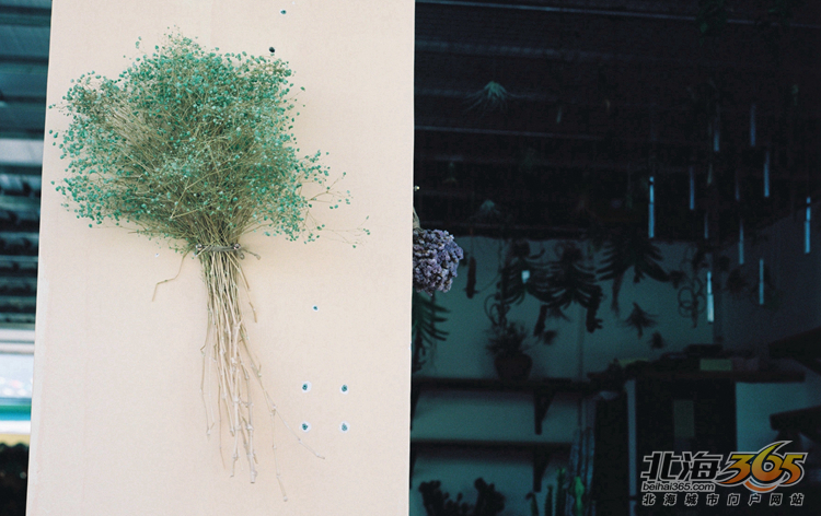 北海女性｜稀奇古怪的店，稀奇古怪的90后老板