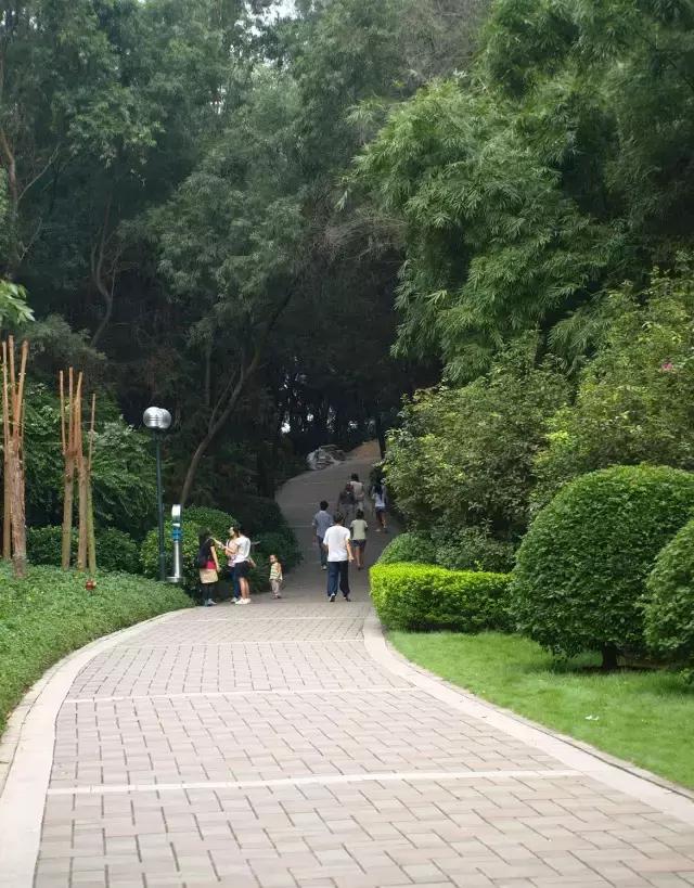 花如此多娇,花都如此多娇全文免费阅读