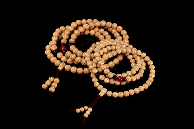 什么植物适合做手串,可以做手串的植物种子