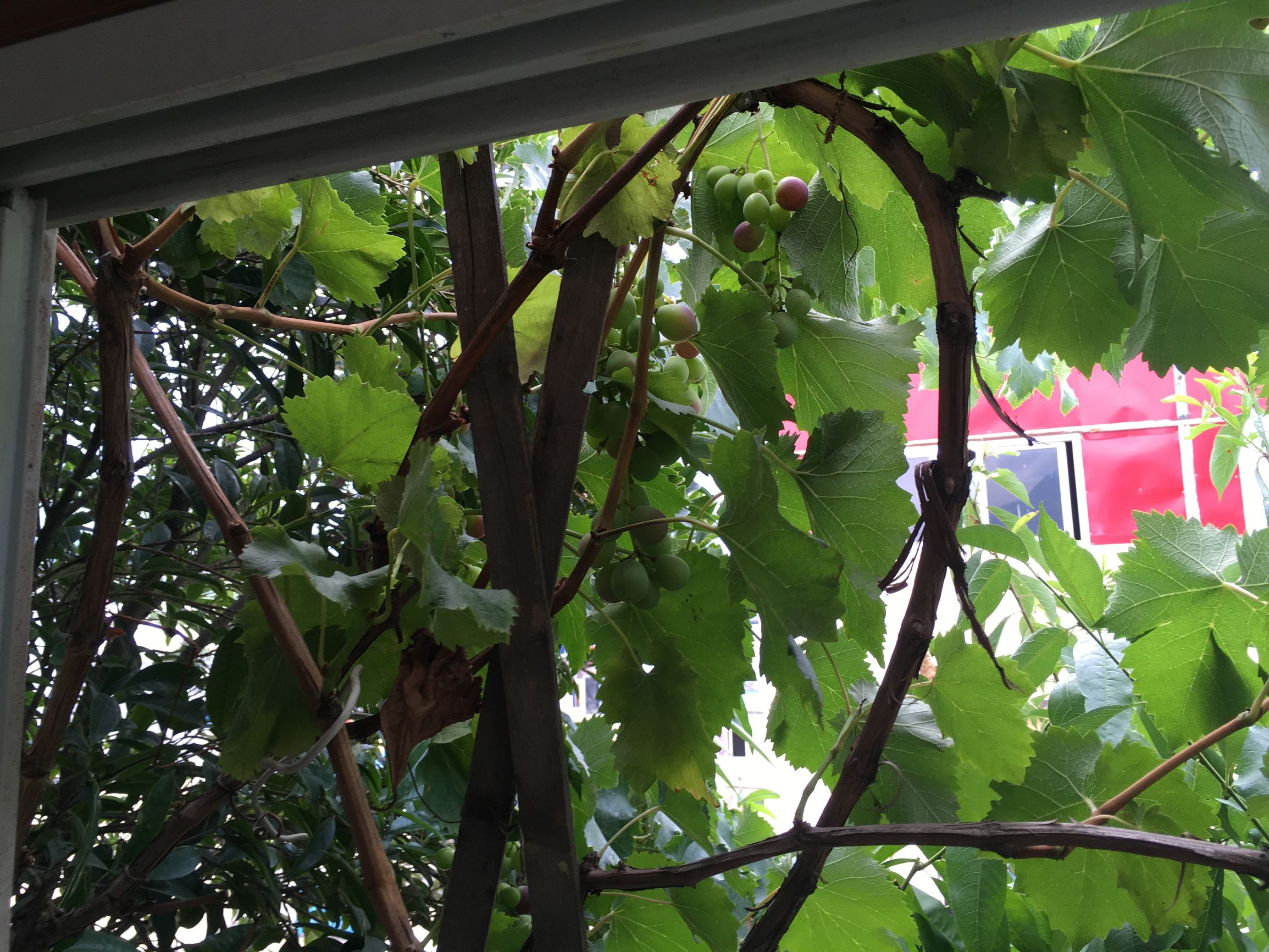 四川阿坝茂县美景,四川茂县简介