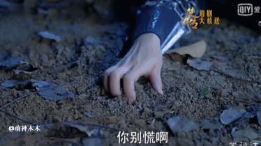 楚乔传为什么第二部还没有开拍,楚乔传最终结局曝光