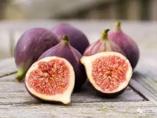 每个果子里都藏着一只蜜蜂！你认识这种无所不能的“神物”吗