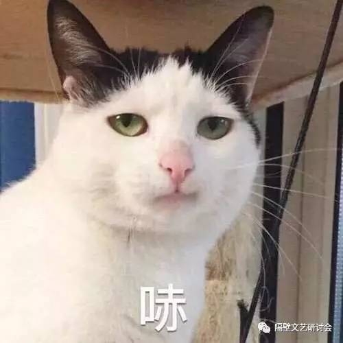 郑爽写书发旧糖?对不起,分手以后的打扰都叫“炒作”