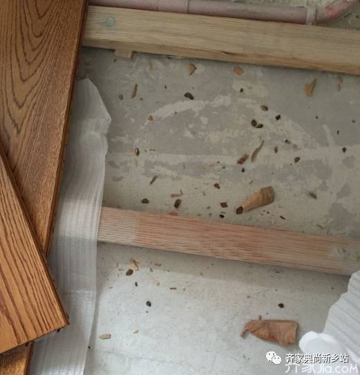 工地直播间施工视频,木地板施工现场视频