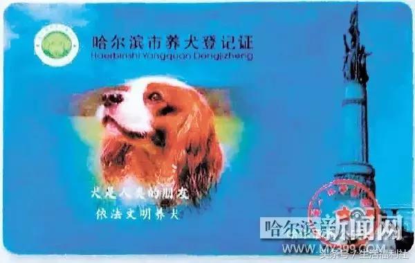 今天哈尔滨哪里免门票,2019哈尔滨免费优惠活动