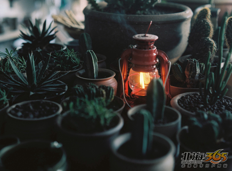 北海女性｜稀奇古怪的店，稀奇古怪的90后老板