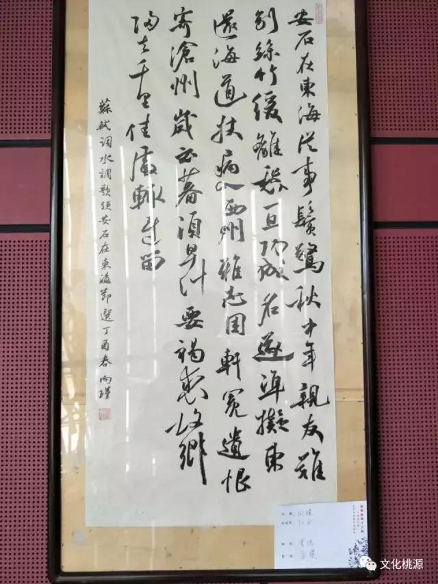 桃源县中考体育,常德桃源文化体育中心