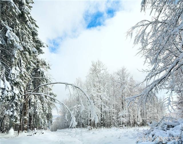 童年记忆中的雪,童年记忆雪泥