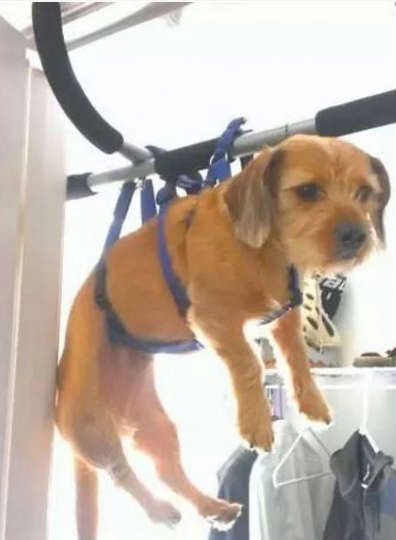 夕阳下的奔跑是我逝去的青春出处,我想起那天夕阳下的奔跑出自哪里