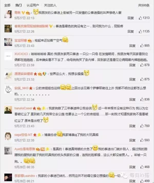 你听说过”反泰迪联盟“和”人形泰迪“吗？养泰迪凭啥要被歧视？