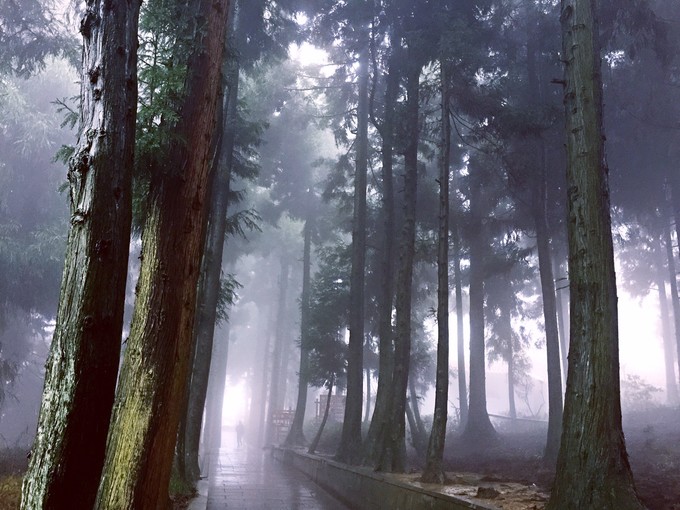七天六晚长沙张家界吃货视角带你领略冰天雪地的张家