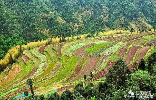 台州的公盂村,浙江省仙居县田市镇公盂村