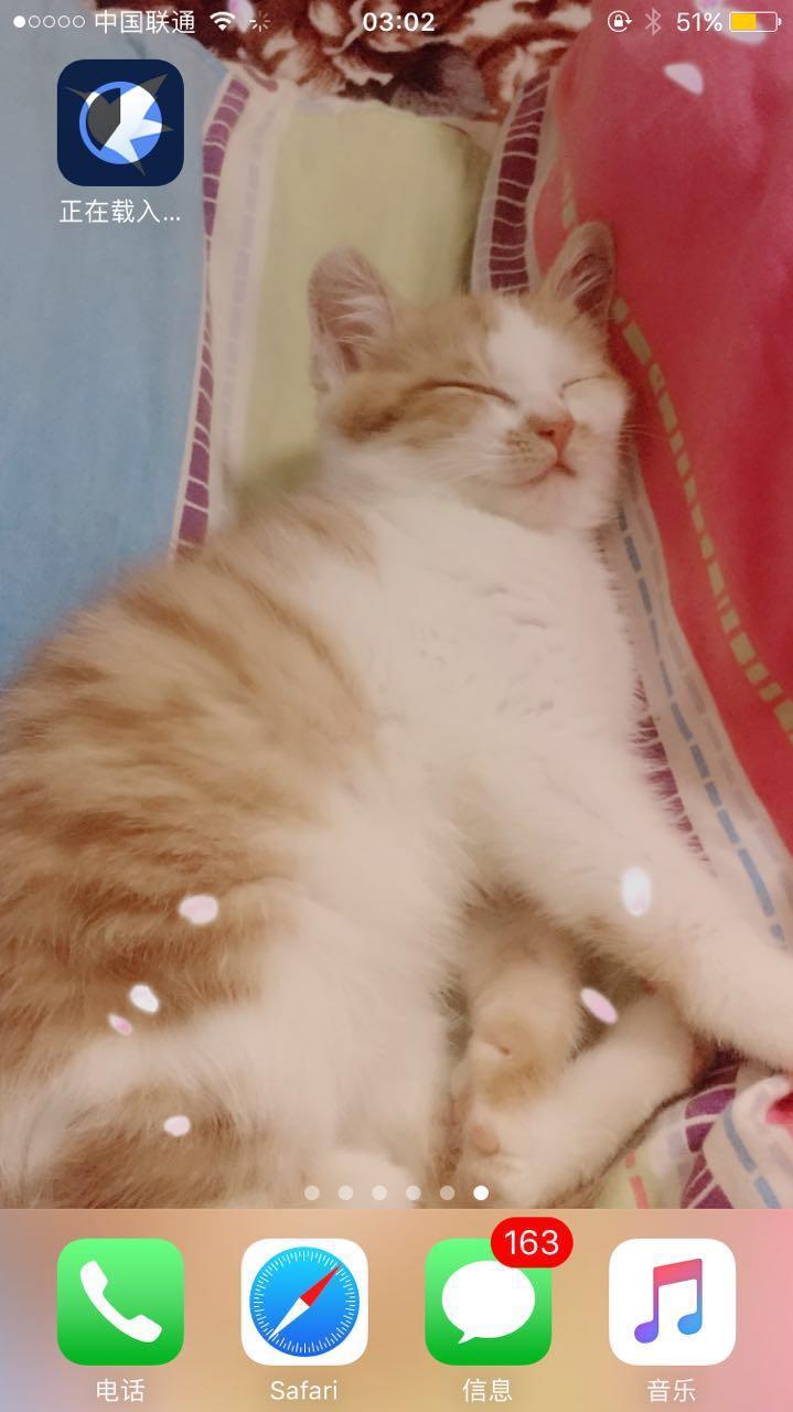 老苹果ipad怎么装迅雷,ipad如何安装迅雷内测版