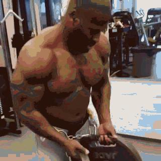 NFL训练分析之詹姆斯哈里森——上肢动作篇大汇总