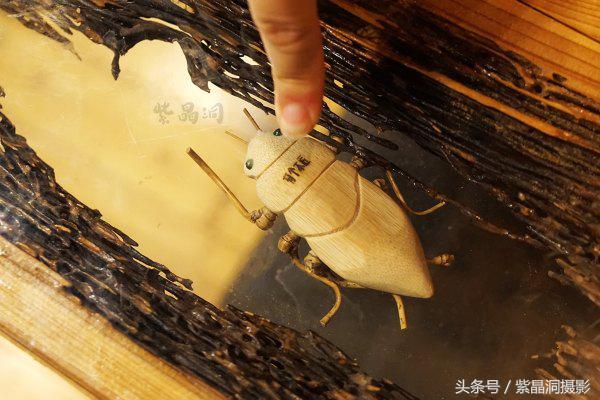 我们是谁？游客！我们做啥？木工！怎么做？打酱油！