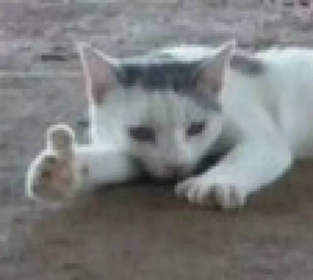 妆前乳男士测评,平价男士妆前乳