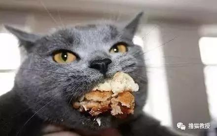 别跟我谈什么梦想我只想躺赢,别跟我谈什么梦想