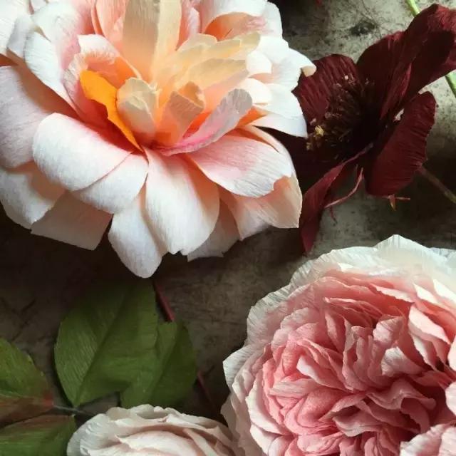 会枯萎腐烂的仿真花,会枯萎的花有什么