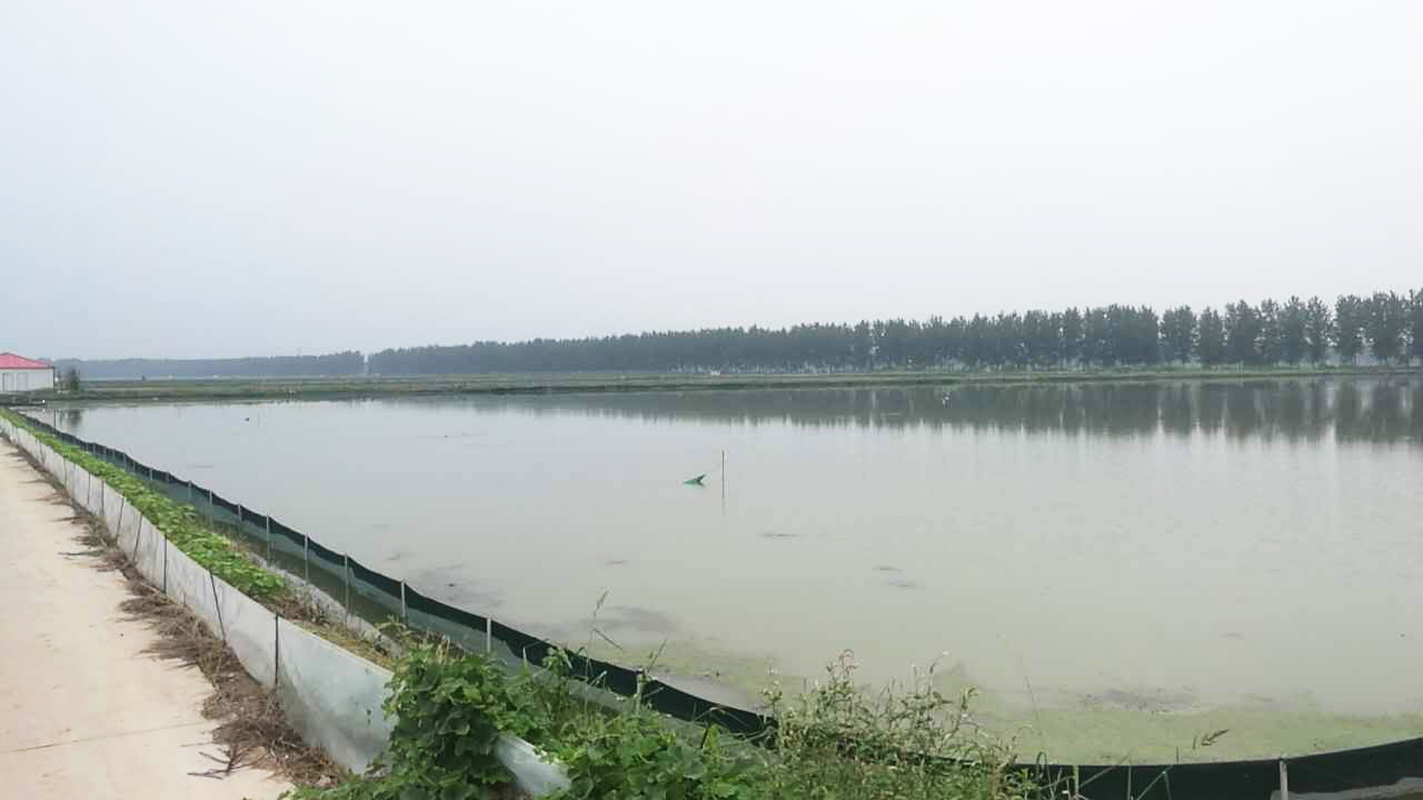 龙虾养殖赚钱方法技巧图解,龙虾养殖赚钱方法有哪些