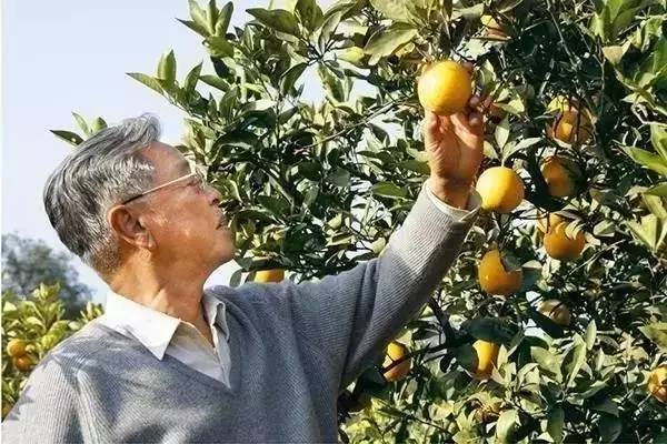 真正的企业家，靠什么引领三军打天下？（12个细节观察）