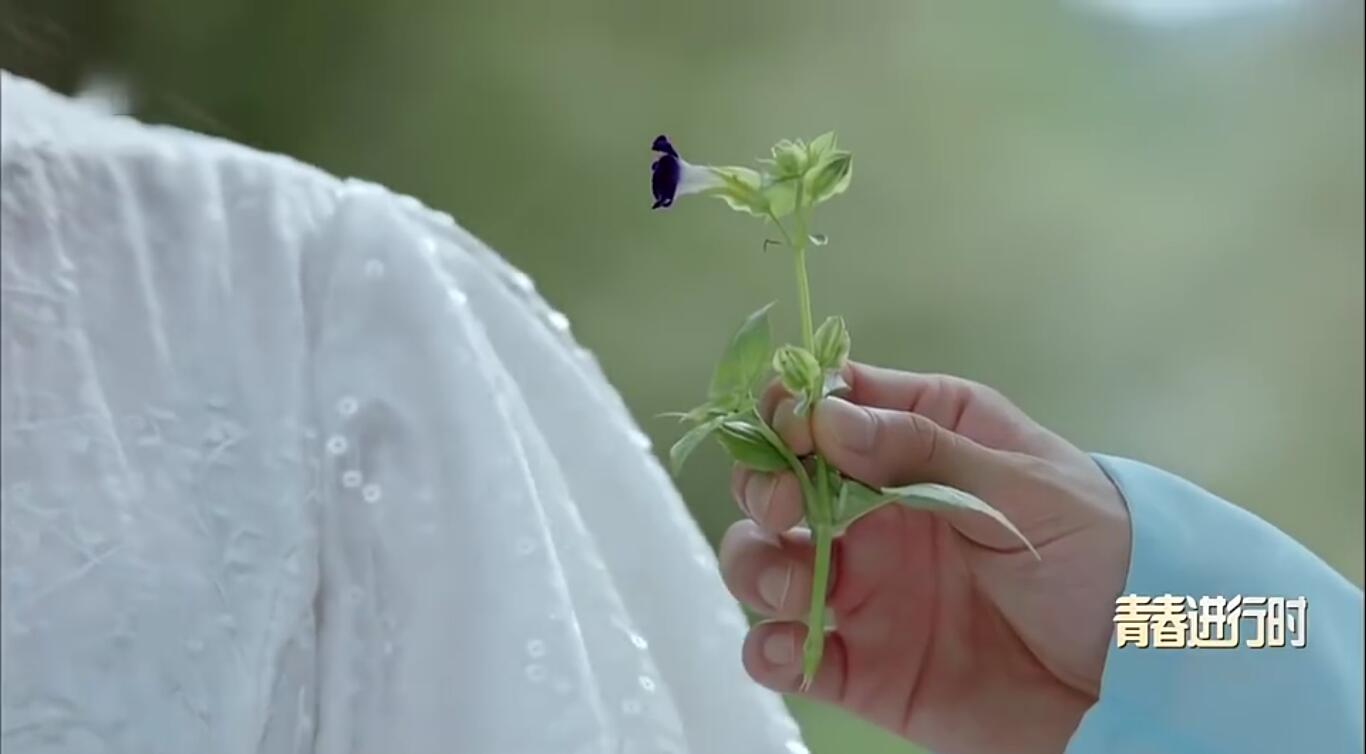 择天记丹药,择天记10大秘密