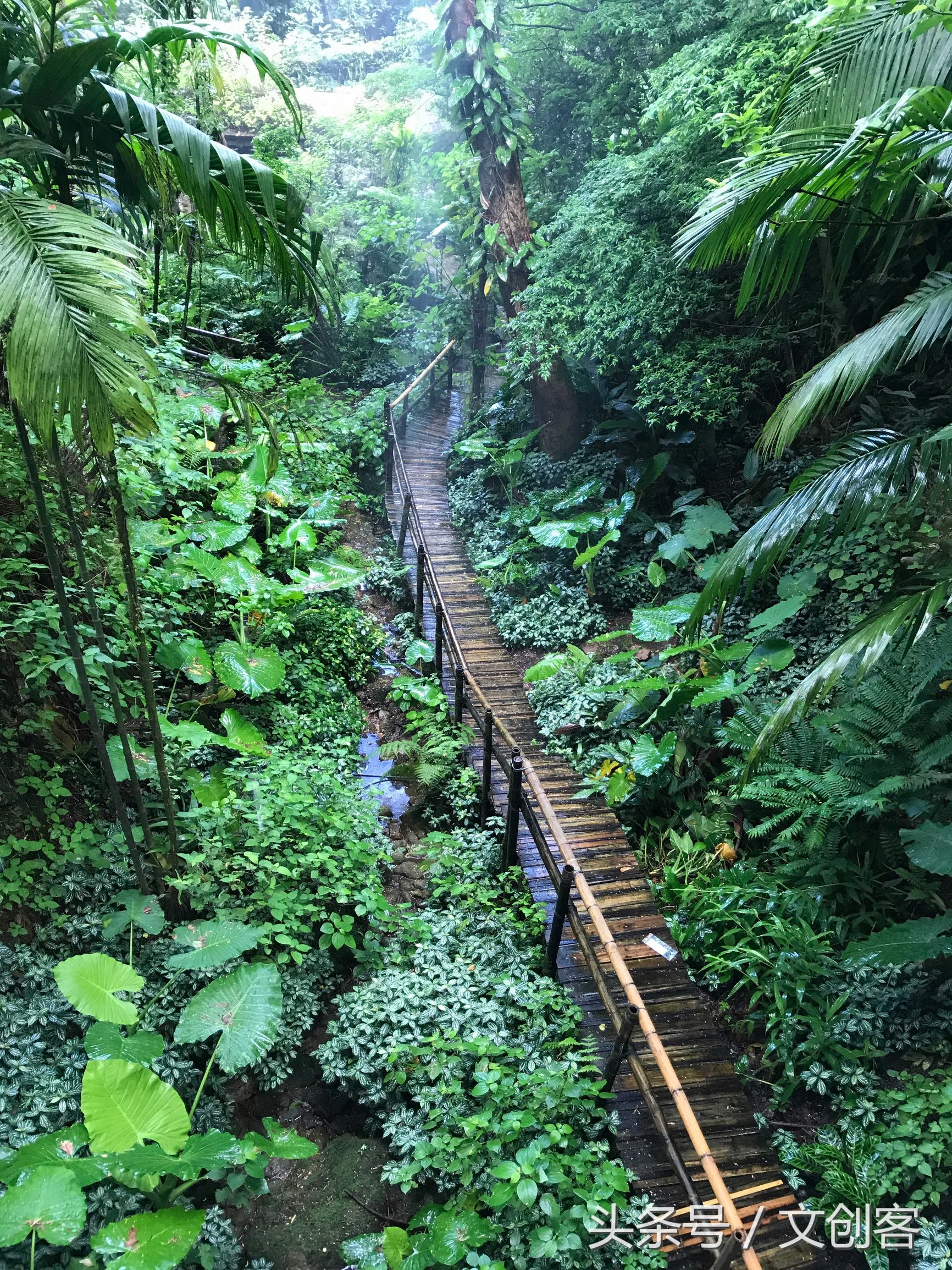 深圳青青世界累吗,深圳青青世界夏天热吗