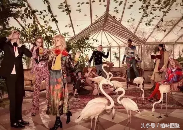 世界顶级奢侈品橱窗,不出家门一分钟尝遍世界咖啡