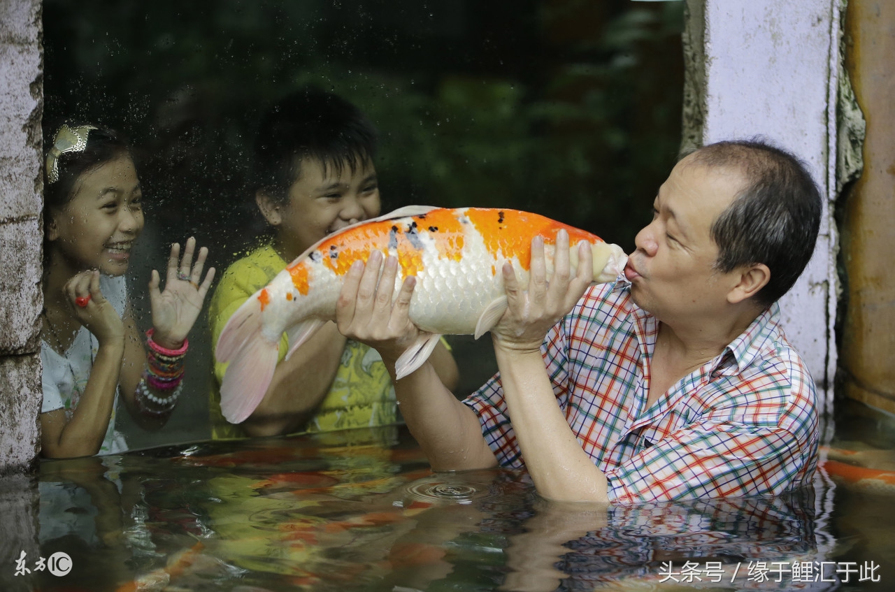 鱼缸腥臭怎么处理,鱼缸水浑浊怎么办