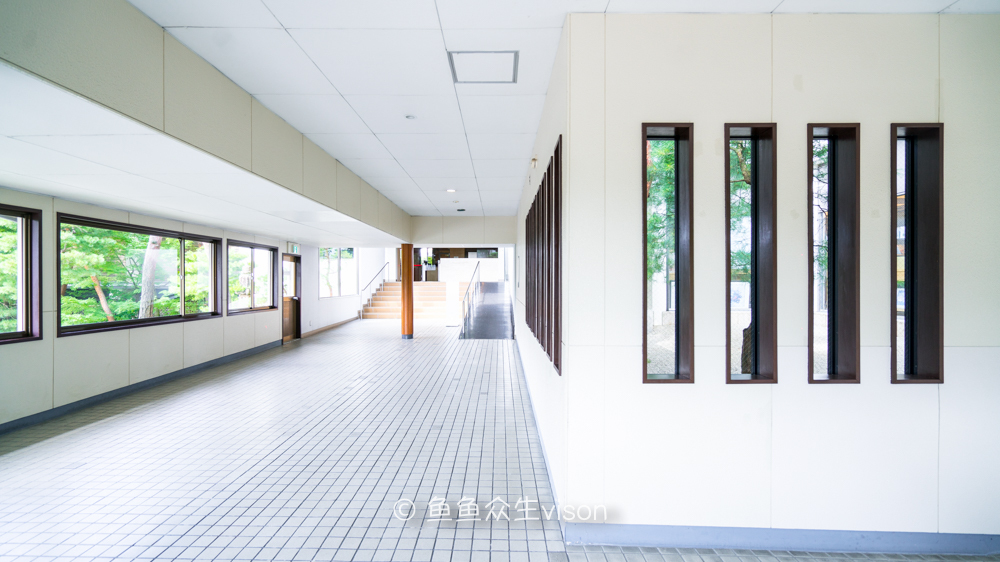 日本东京大阪最值得去的地方,日本大阪深度游攻略