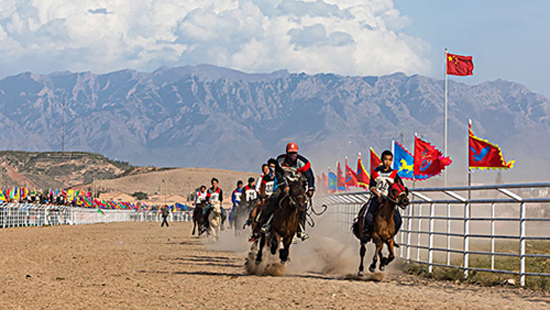 若尔盖草原房车营地,草原深处的房车营地