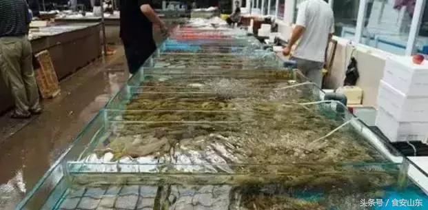 9月1号开海海鲜能便宜吗,9.1开海海鲜掉价吗