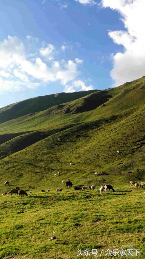 北京自驾新疆伊犁10天最佳路线,北疆大环线10天自驾费用