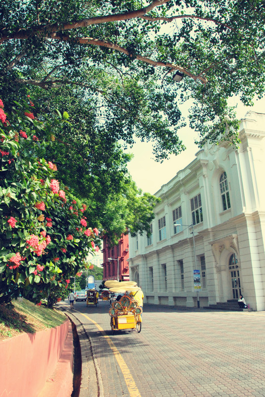 马来西亚沙巴旅游体验感,风下之乡什么意思