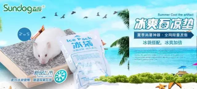 亚宠展攻略狗狗,亚宠展2020爬宠