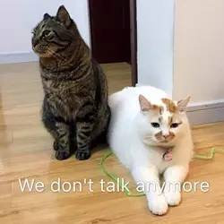 讽刺女人不洁身自好,抨击水性杨花的女人