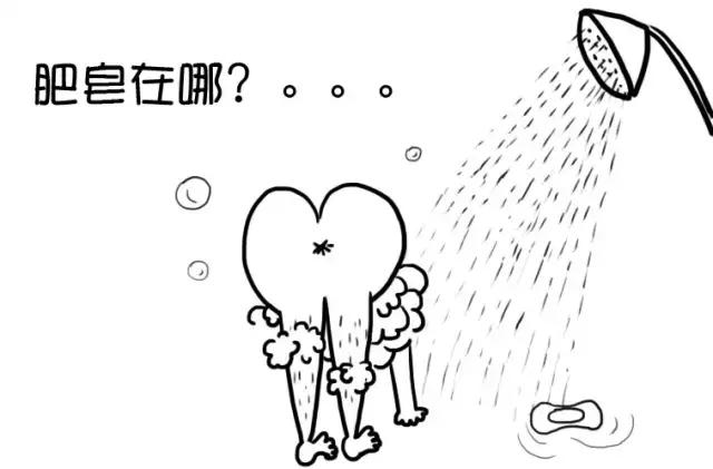 狗的七大诡异知识,近视眼的狗是什么样的