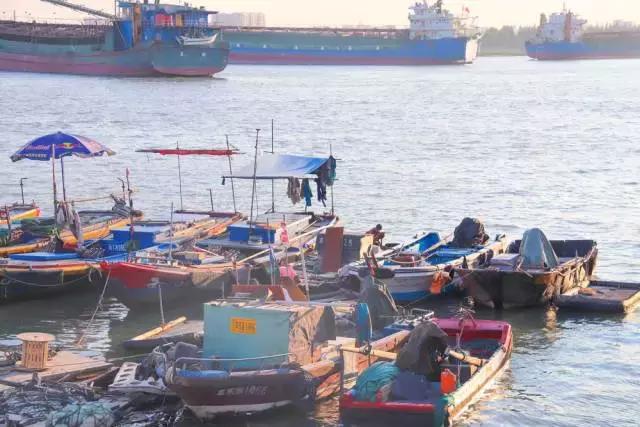 未来东海发展潜力,未来的东海岛怎样