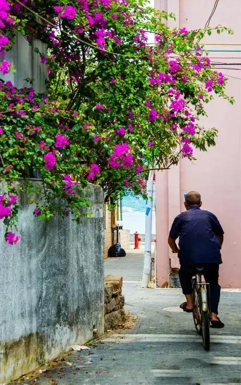 媲美鼓浪屿!深圳竟藏着一个文艺拍照圣地,海滨花火刷爆朋友圈!