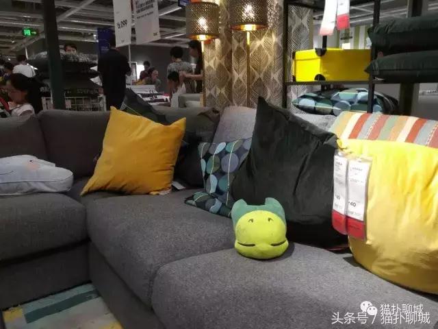 驱车百公里带聊城网友感受济南宜家的魅力，现场火爆商品抢购一空